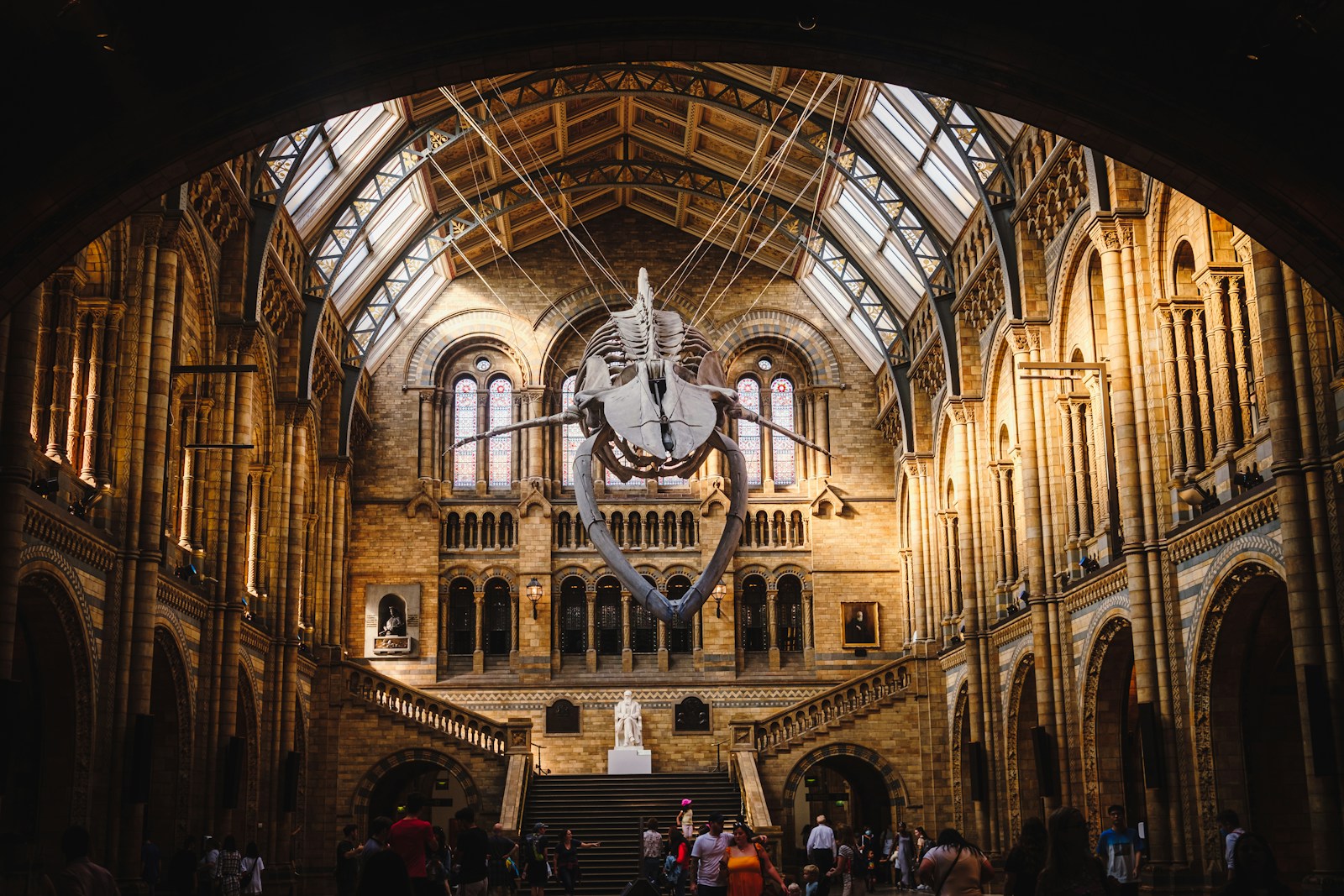 The entrance hall to The Natural History Museum showing the skeleton of a blue whales suspended from the ceiling.