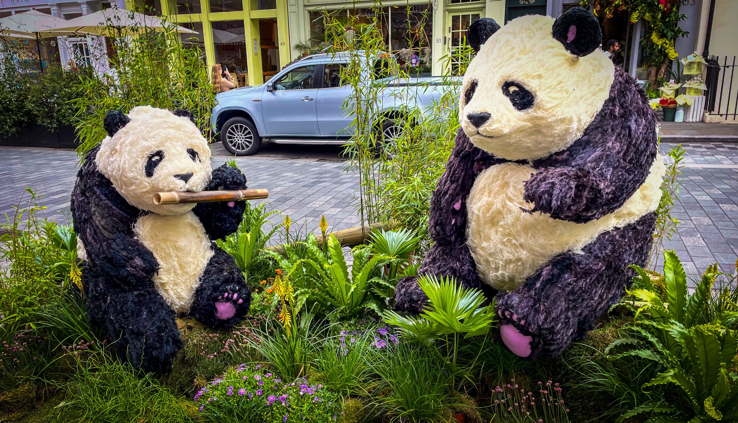 Chelsea in Bloom: Top Tips to Walk around the Displays