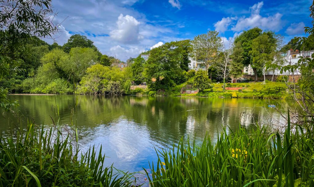 A lake at the edge of Hampstead Heath