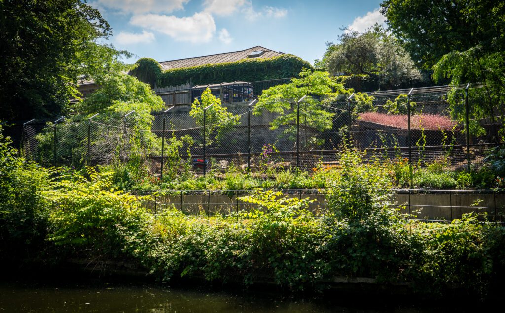 London Zoo enclosures next to Regent's Canal