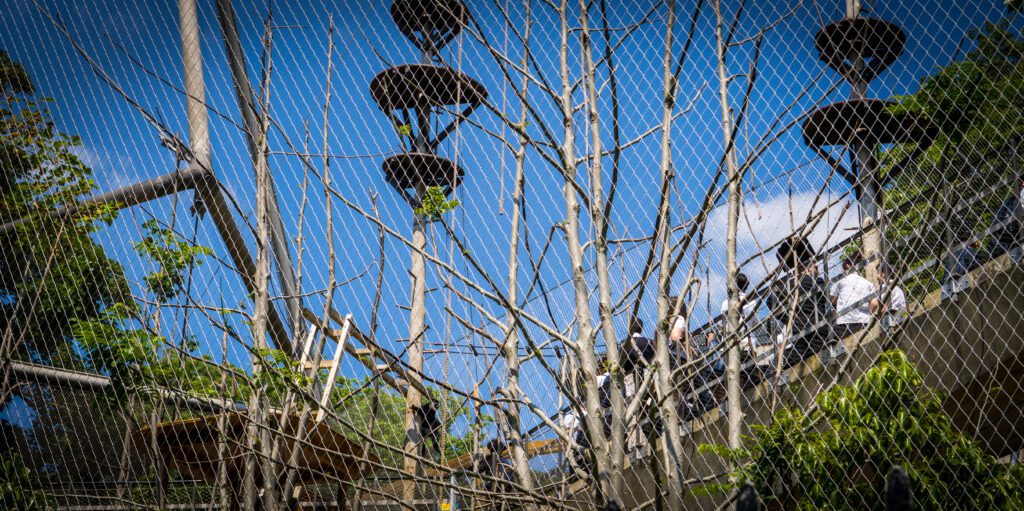Monkey Enclosure next to Regent's Canal