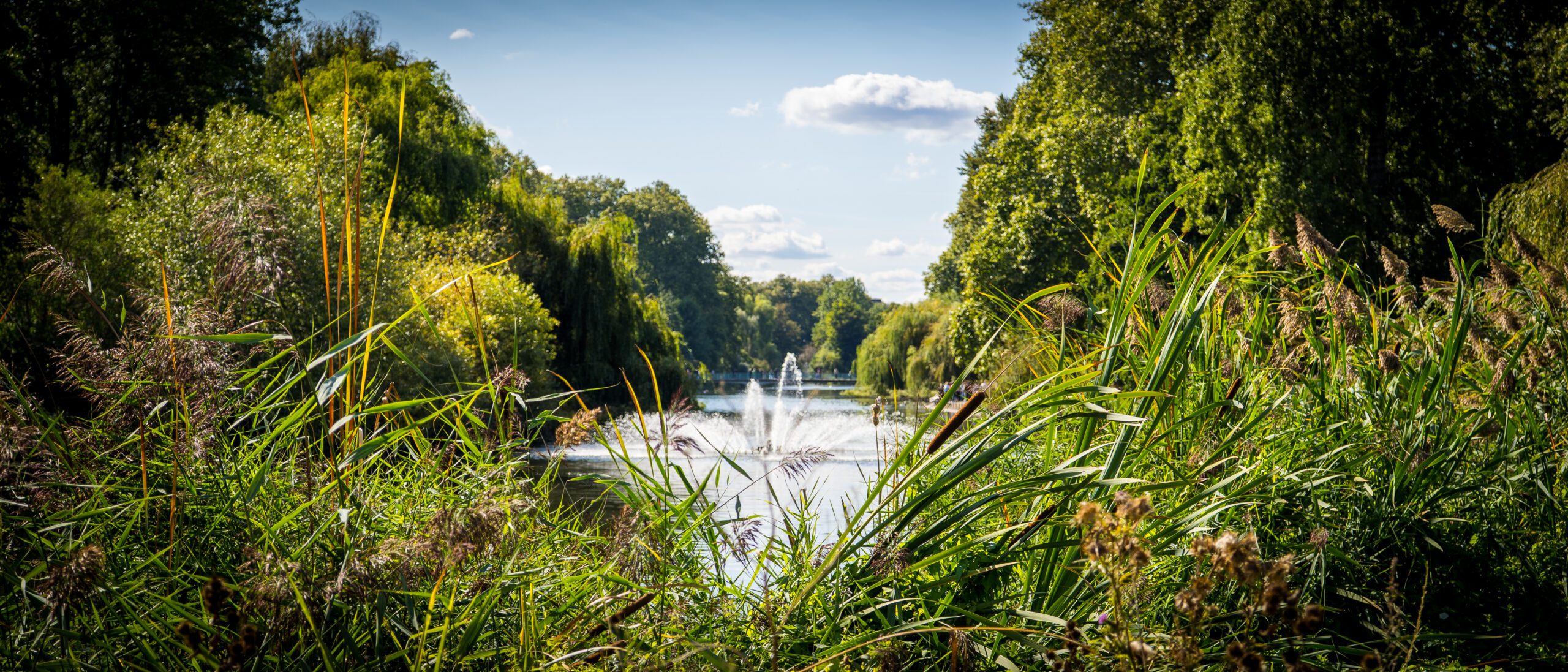 The lake with fountain at St. James's Park