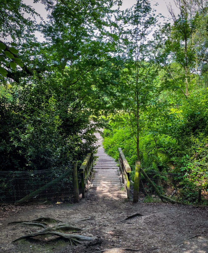 A walkway and bridge in Hampstead Heath
