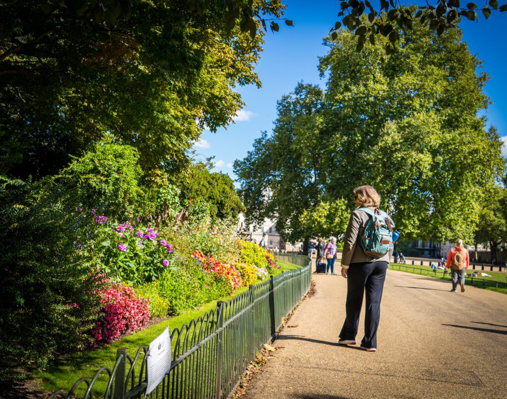 Walking along the path in St. James's Park looking at the flower borders