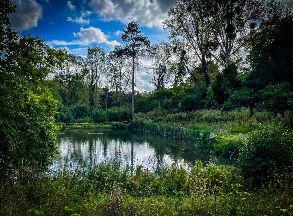 Lake and grounds at Ightham Mote