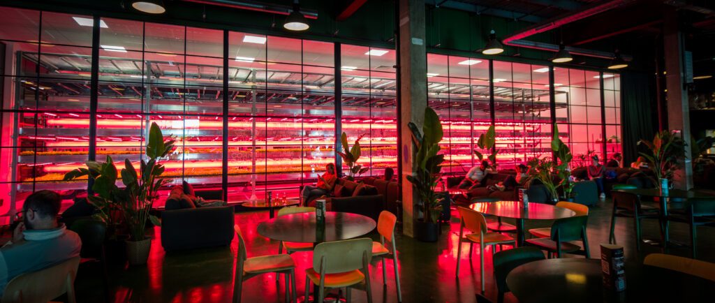 A vertical farm inside a cafe