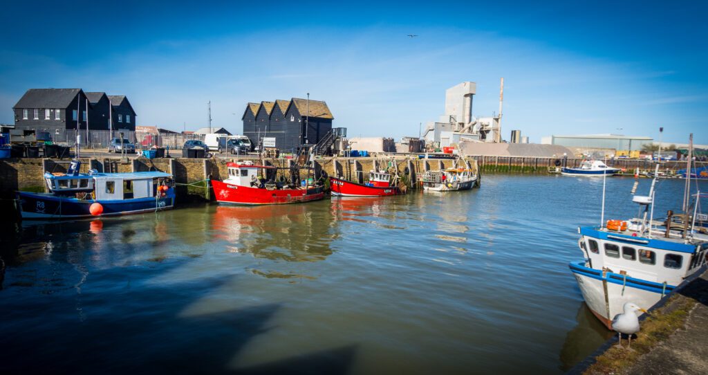 Boats moored in the harbour