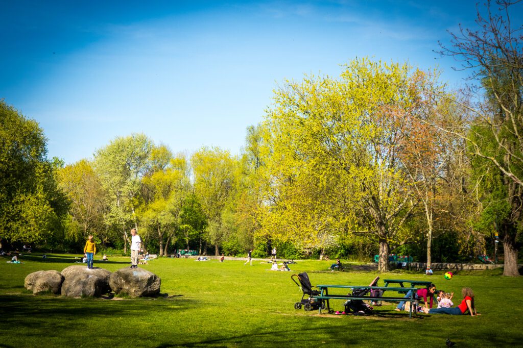 Park on the way to Surrey Dock Farm