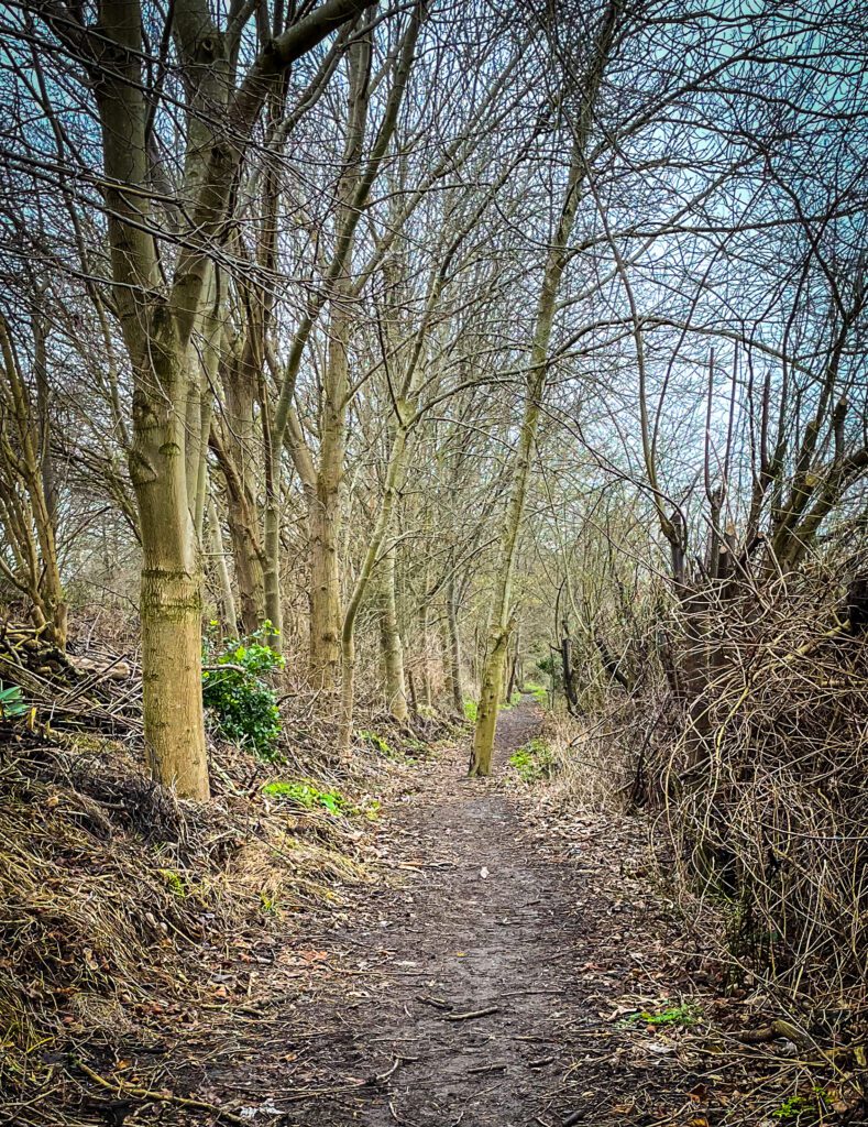 path at mudchute park