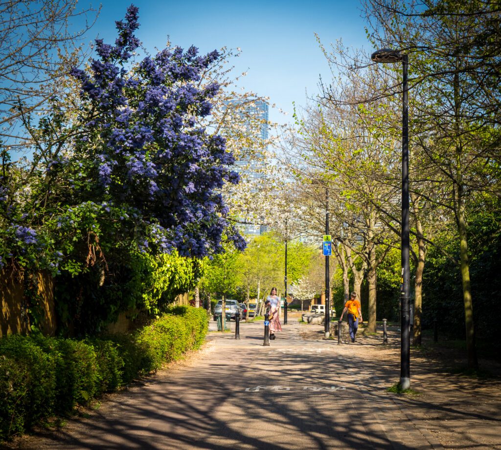 Walking path