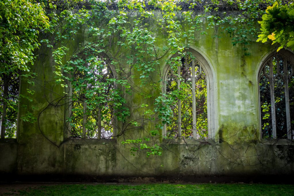 Church stone wall with greenery growing around the windows