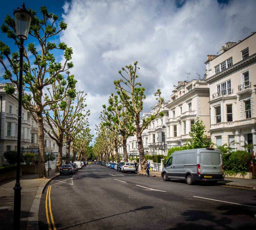 Tree Lined road with cars parked outside townhouses