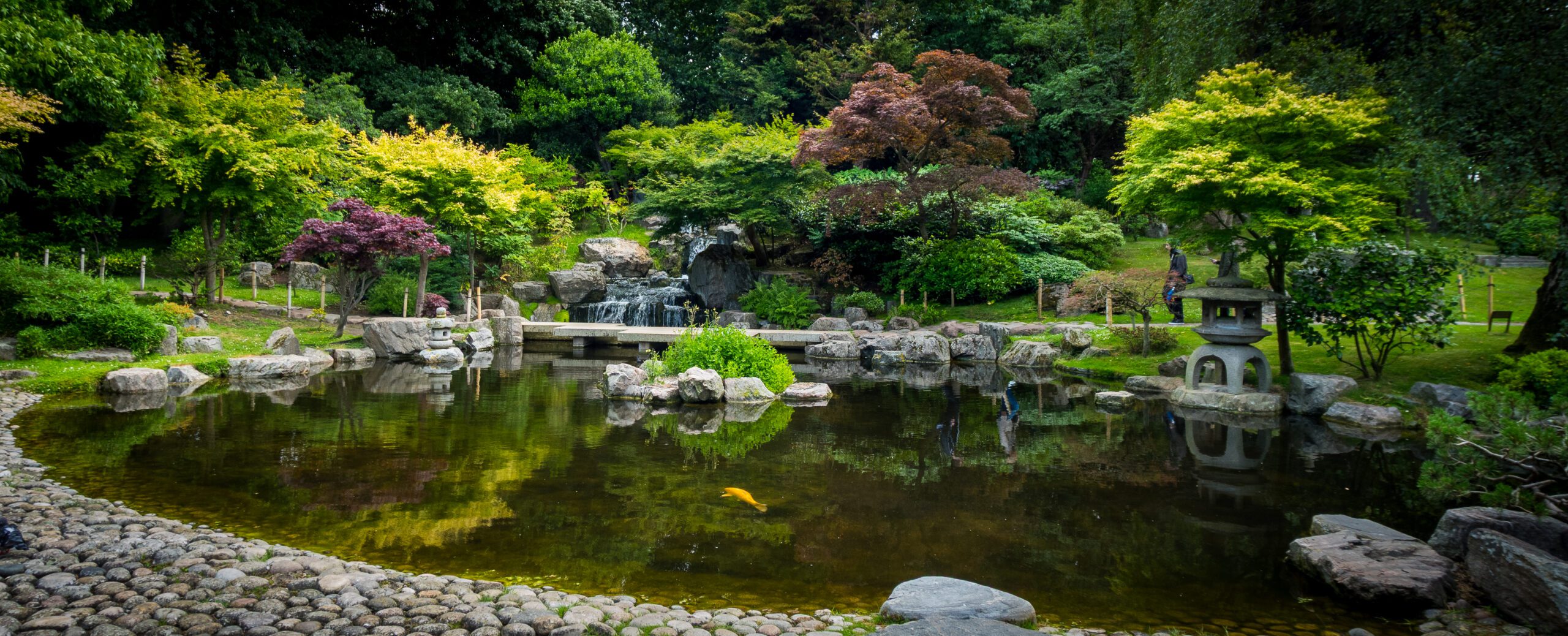 Holland Park: Don’t miss this London Park