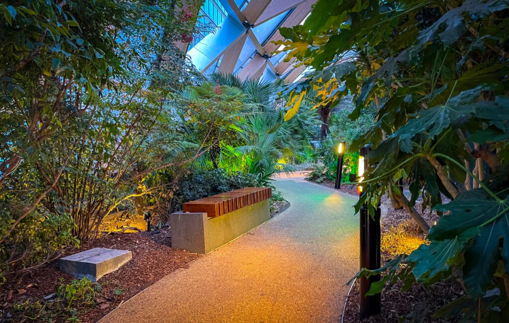 path and bench with trees and plants either side at the Crossrail Place Roof Garden at Canary Wharf