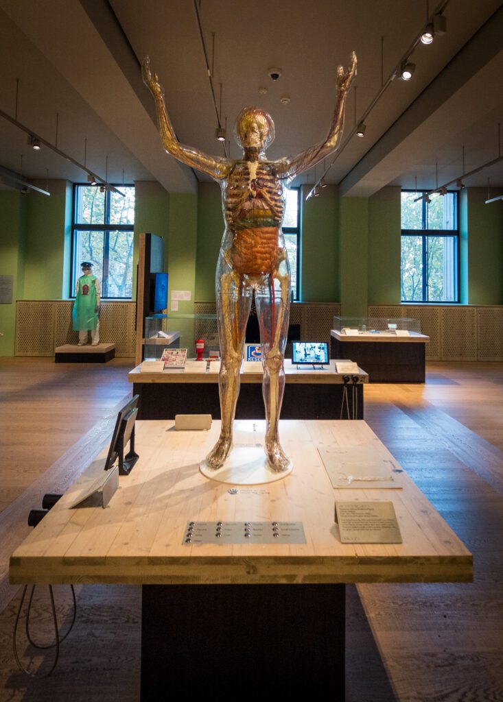 Interactive body exhibit